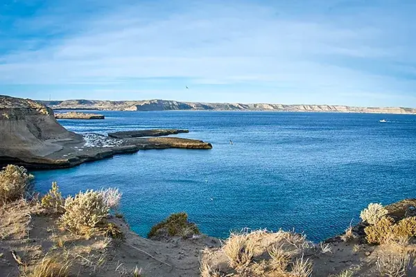 Península Valdés Wildlife Tour