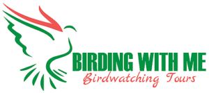 Birding With Me