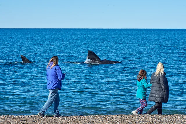 Whale watching from the shore at El Doradillo