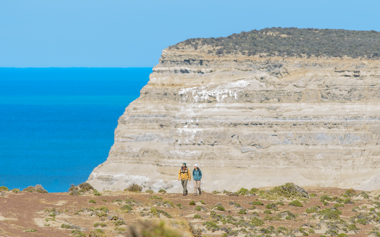 Península Valdés en un día desde Puerto Madryn: costa y fauna marina