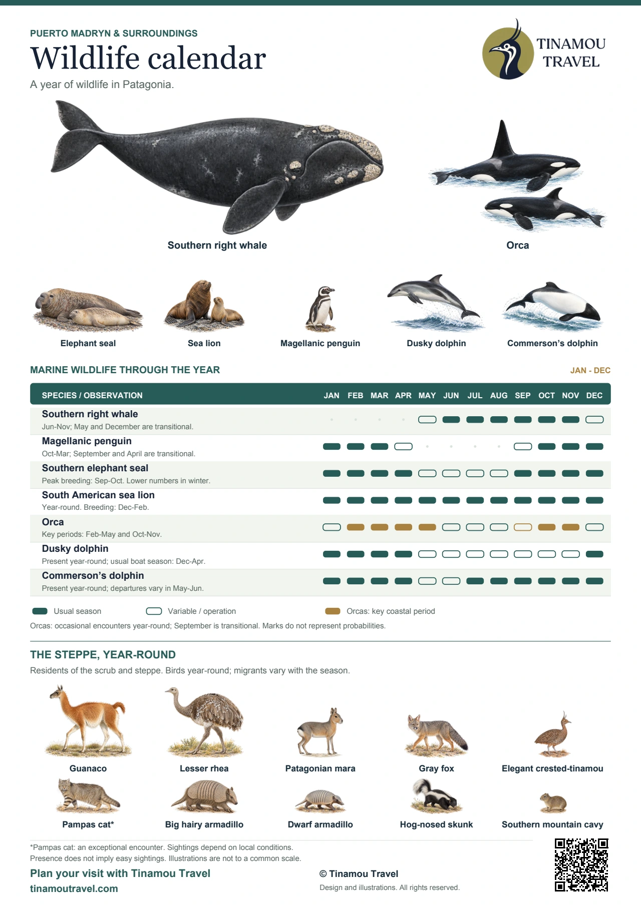 Illustrated calendar of seventeen animals of Puerto Madryn and the surrounding region. Whales, penguins, elephant seals, sea lions, orcas and dolphins by month, with ten terrestrial residents. A text version follows below.